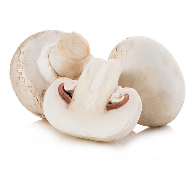 Champignon blanc