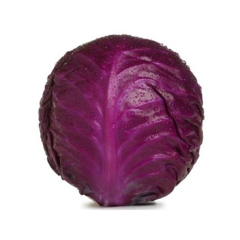 Chou rouge